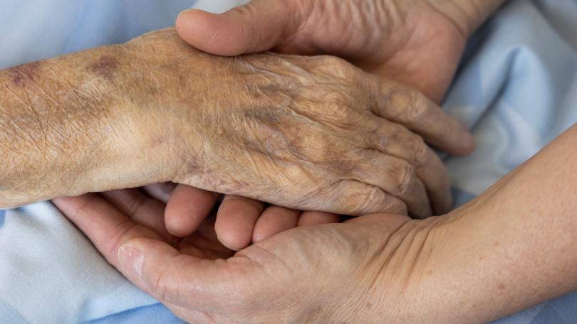 Eine Pflegerin hält die Hand einer Patientin.