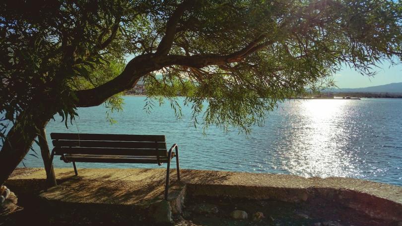 Sitzbank am Seeufer mit Baum und Sonnenuntergang